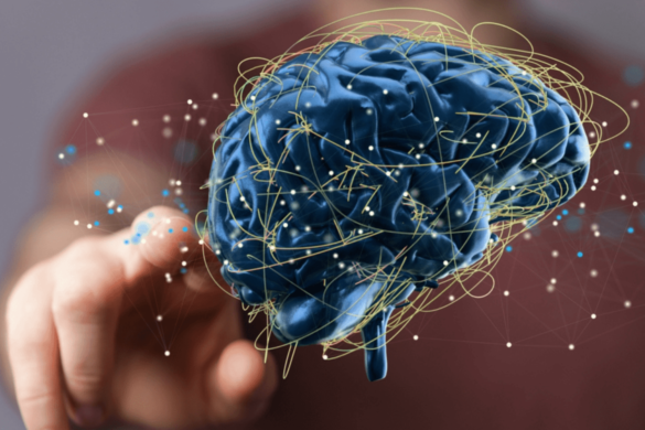 processos cognitivos processos cognitivos