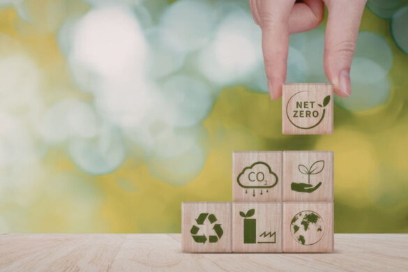 Crescimento Sustentável