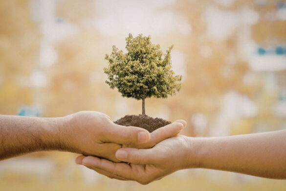 Sustentabilidade